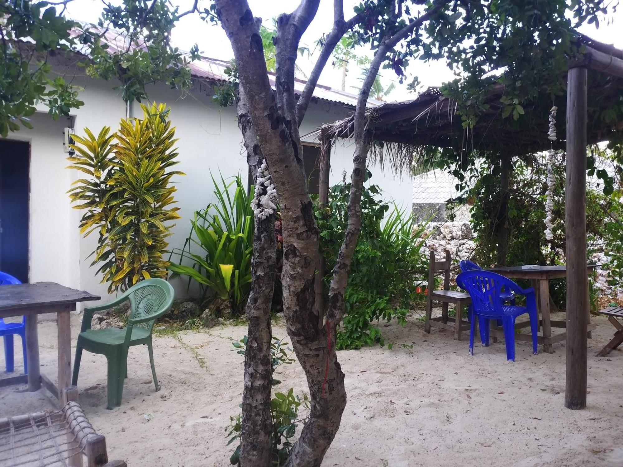 Moringe Home Stay - Village House Jambiani  Room photo