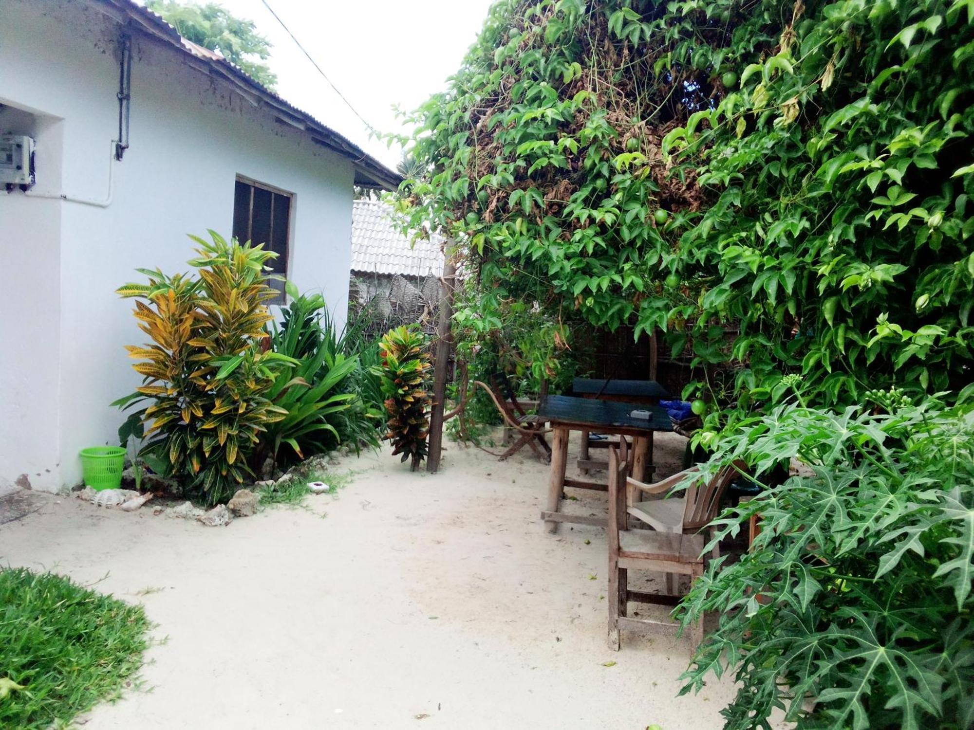 Moringe Home Stay - Village House Jambiani  Room photo