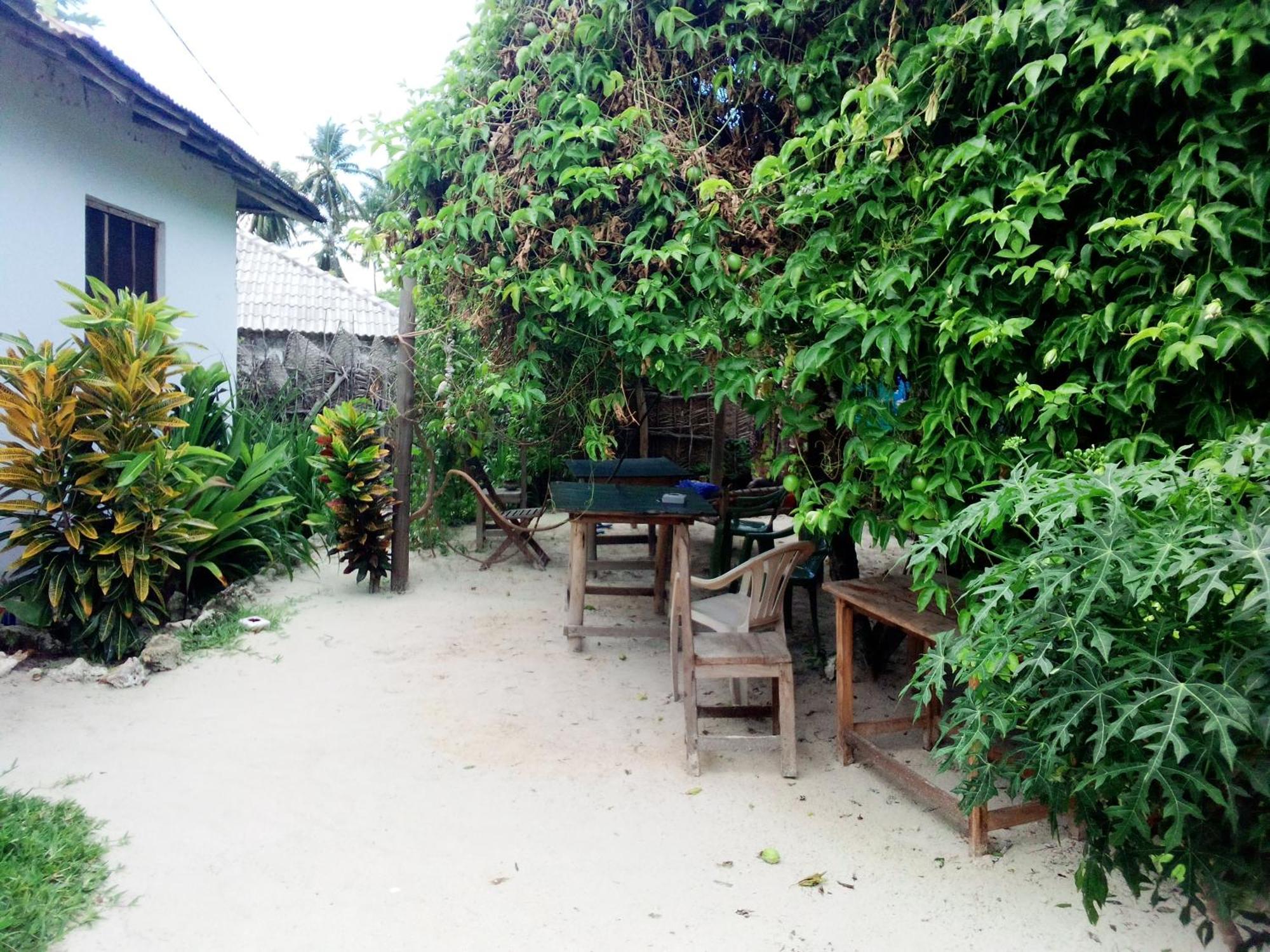 Moringe Home Stay - Village House Jambiani  Room photo