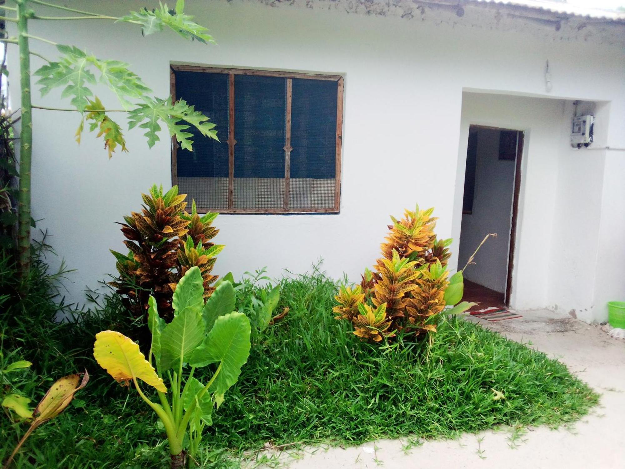 Moringe Home Stay - Village House Jambiani  Room photo