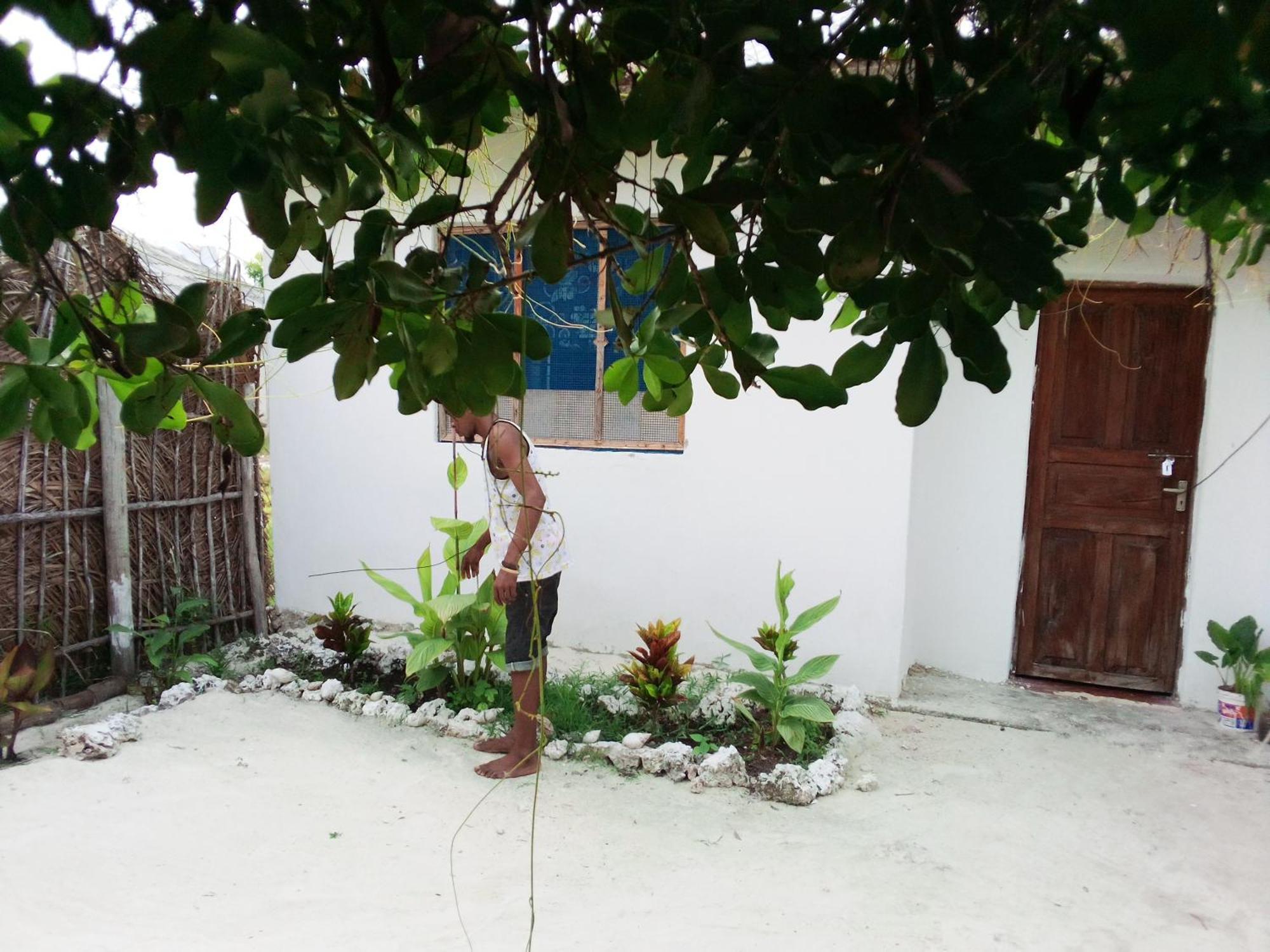 Moringe Home Stay - Village House Jambiani  Room photo
